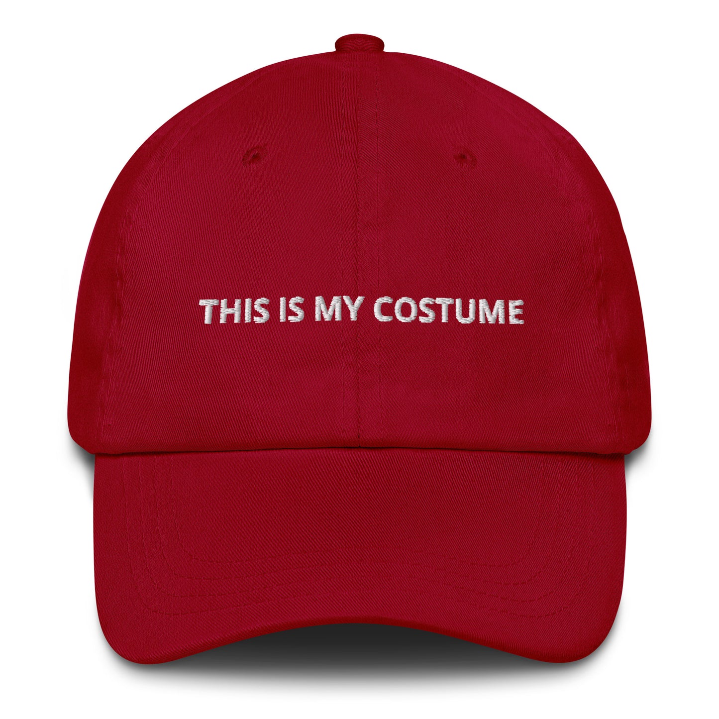 THIS IS MY COSTUME DAD HAT