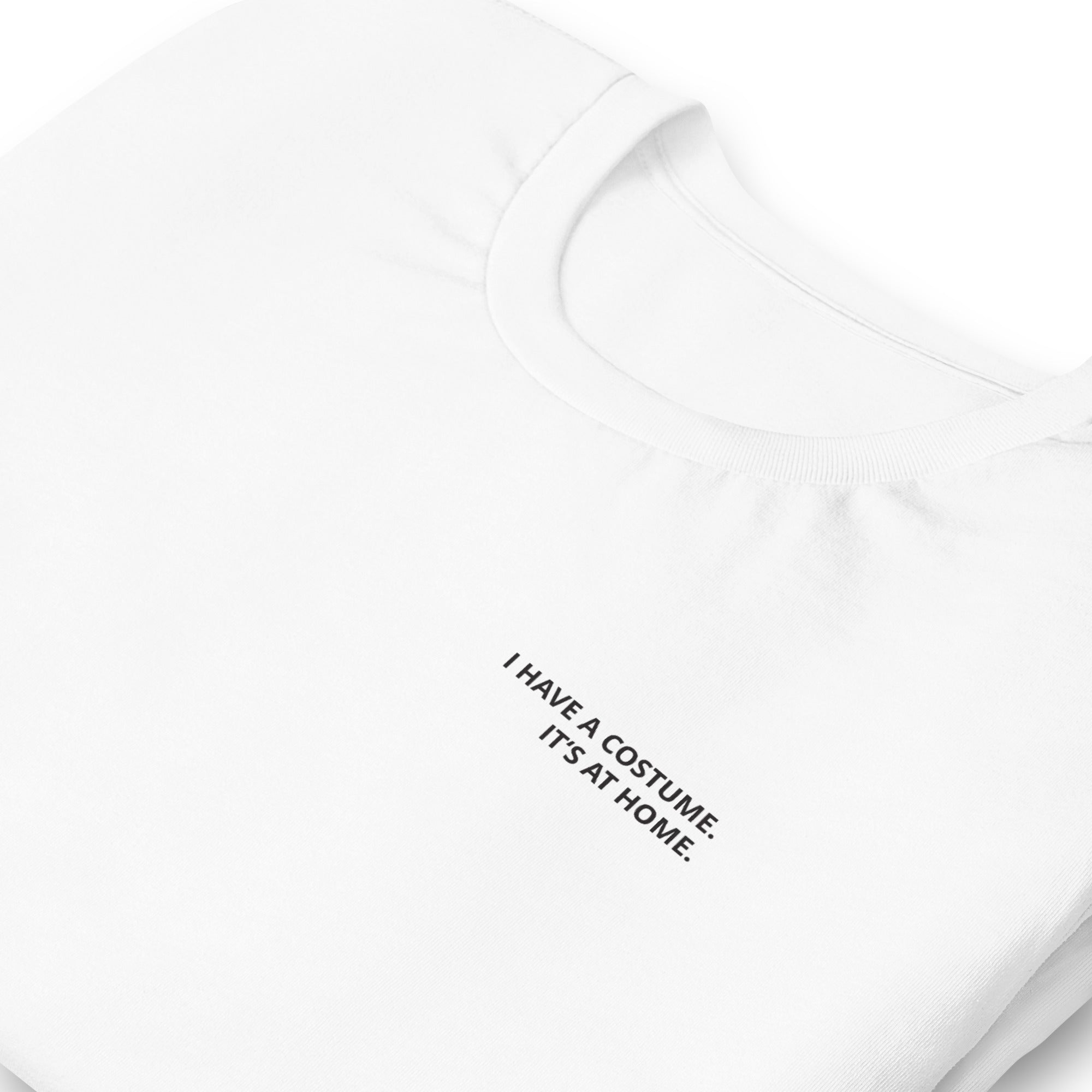 I Have a Costume. It's at Home. T-Shirt